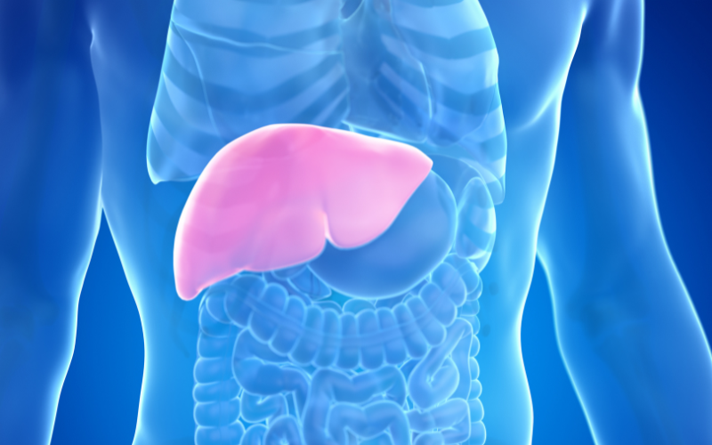 Does the liver detox itself?